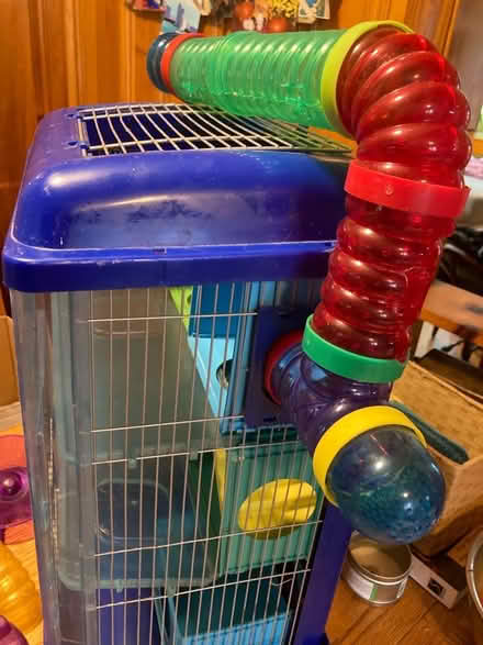 Photo of free Hamster house and accessories (North Waltham) #3