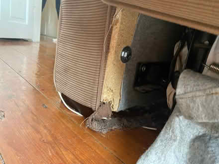 Photo of free Sofa bed (Harringay N4) #2