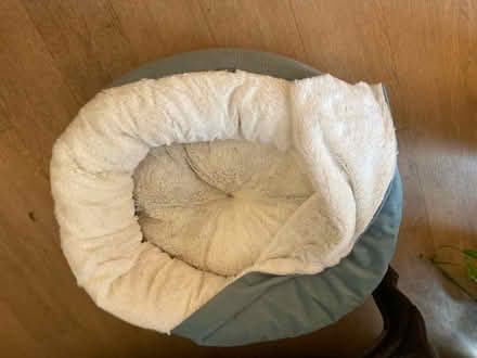 Photo of free Small dog bed (Lincoln) #1