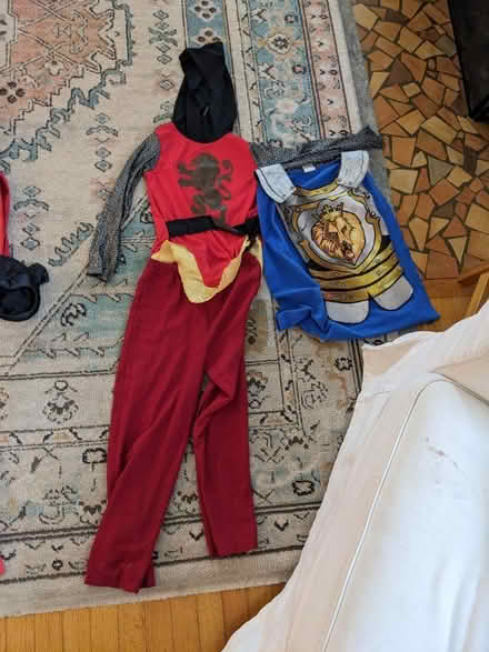 Photo of free Knight costume - size 7 or so? (Crescent Heights) #1