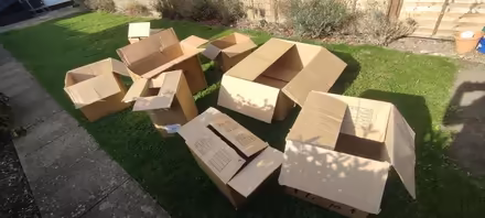 Photo of free Packing boxes (CB1) #1