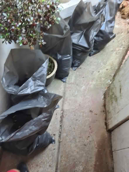 Photo of free hardcore and soil (Hastings TN34) #1