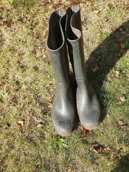 Photo of free Size 9 black wellies (Colehill BH21) #1