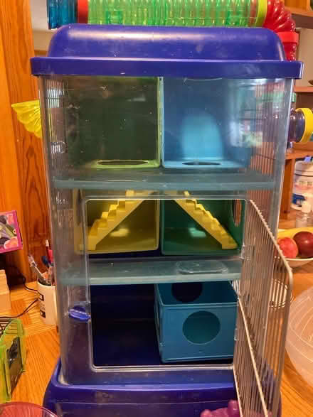 Photo of free Hamster house and accessories (North Waltham) #1
