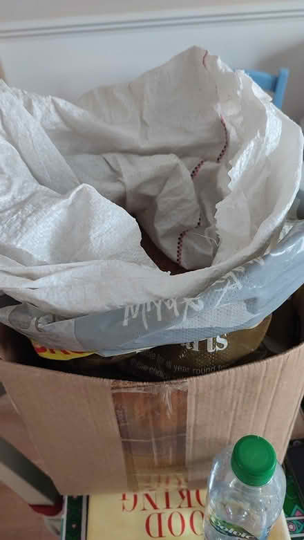 Photo of free Millet, bird seed (RG2 south Reading) #1