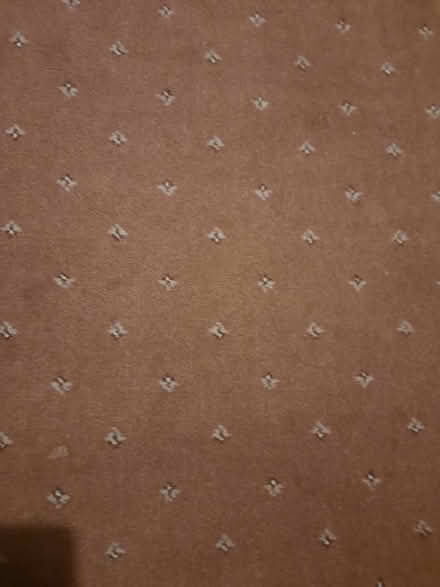 Photo of free Carpet runner (S26) #2