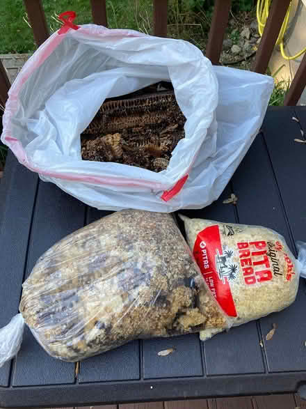 Photo of free 6 lbs beehive comb (Shirley Center) #1