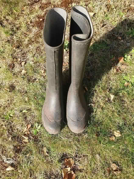 Photo of free Size 4 Dunlop wellies (Colehill BH21) #1