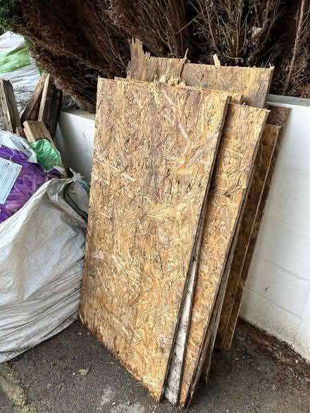 Photo of free Plywood (HX2) #1