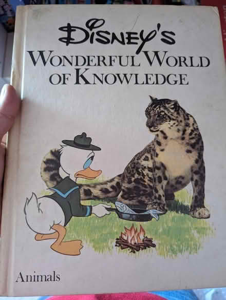 Photo of free Disney's wonderful world (Frodsham WA6 7) #4