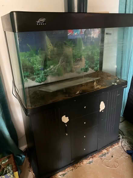 Photo of free Tank and cabinet (Steeple, CM0) #1
