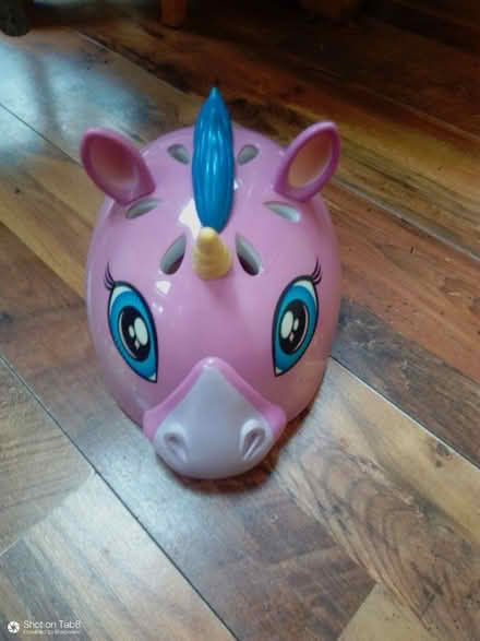 Photo of free Bicycle helmet (Harpur Hill SK17) #2
