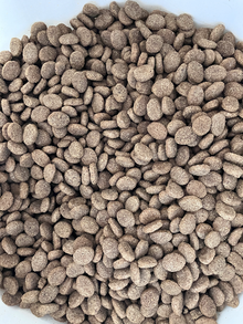 Photo of free Dog food (Hastings TN34) #1