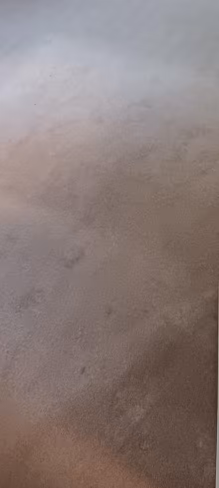 Photo of free Beige carpet 3.5m x 4m (Fairfield LA1) #2