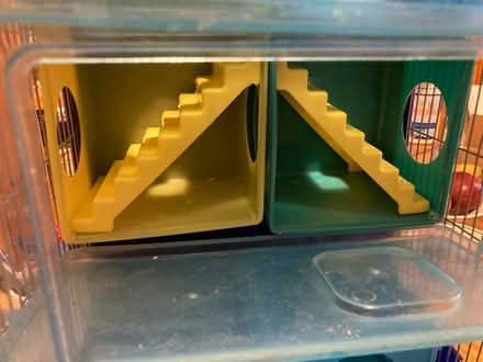 Photo of free Hamster house and accessories (North Waltham) #4