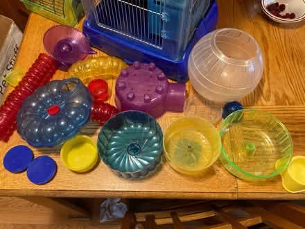 Photo of free Hamster house and accessories (North Waltham) #2