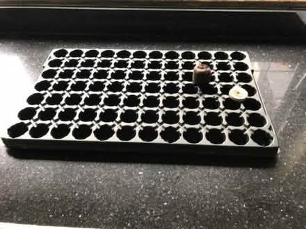 Photo of free Propagation tray for Jiffy 7's (Sandhurst TN18) #1
