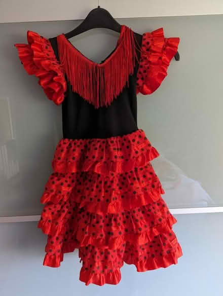 Photo of free Various dressing up outfits (Frodsham WA6 7) #1