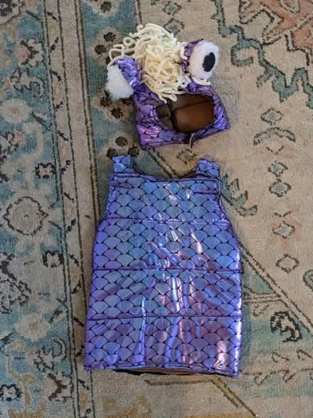 Photo of free Boo costume (Crescent Heights) #1
