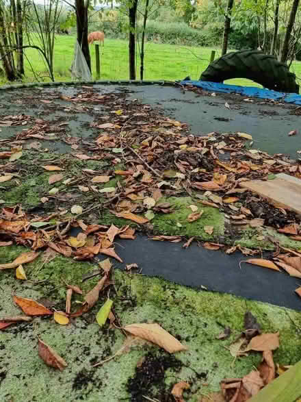 Photo of free Very large trampoline, needs dismantling (Peaton SY7) #2
