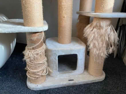 Photo of free Cat tree (Queens Park BH8) #4