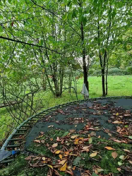 Photo of free Very large trampoline, needs dismantling (Peaton SY7) #1