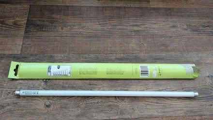 Photo of free Bulb 525mm (Beeston, notts NG9) #1