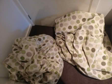 Photo of free King Kahuna bean bags (Croydon) #1