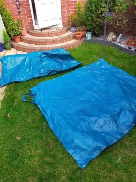 Photo of free Tarpaulin (Cherry Orchard SY2) #1