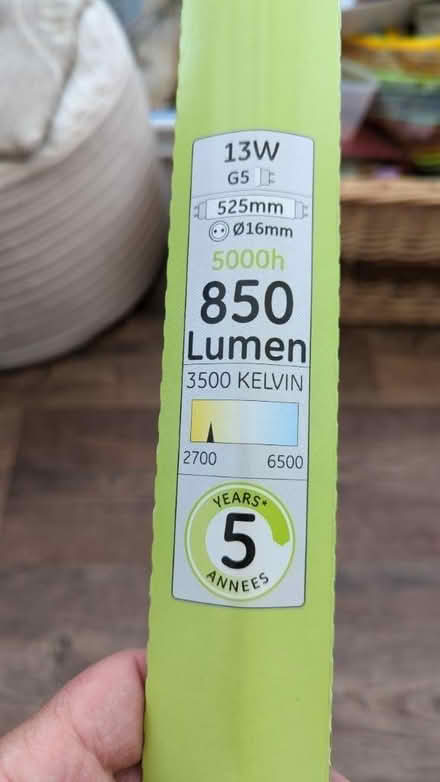 Photo of free Bulb 525mm (Beeston, notts NG9) #3