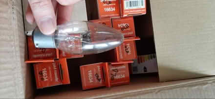 Photo of free Old incandescent light bulbs (Comely Bank EH4) #1