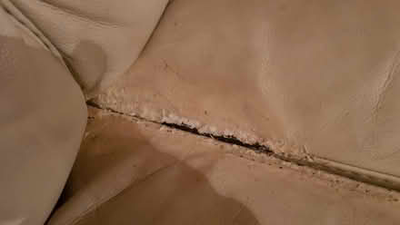 Photo of free Fake leather sofa (NG8 wollaton) #3