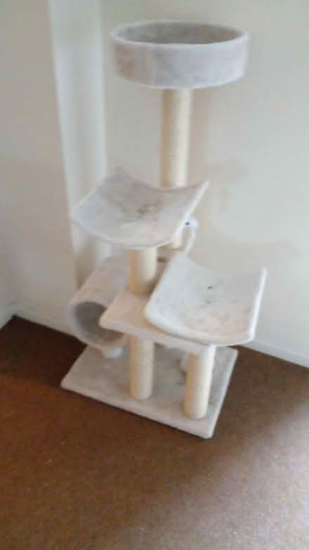 Photo of free Tall cat scratching post (ALW4AW) #3