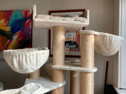 Photo of free Cat tree (Queens Park BH8) #3
