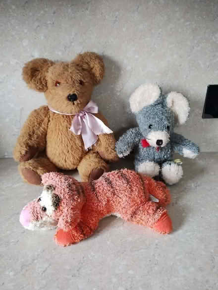 Photo of free Assorted Soft Toys (Harvey Close BS22) #1