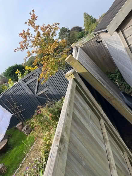 Photo of free 6ft wooden fence panel (Godalming GU7) #1