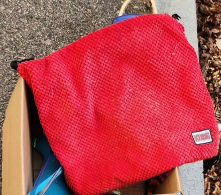 Photo of free used cat supplies (Cambridge, near Western Ave) #3