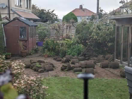 Photo of free Garden Turf grass (Westgate LA3) #1
