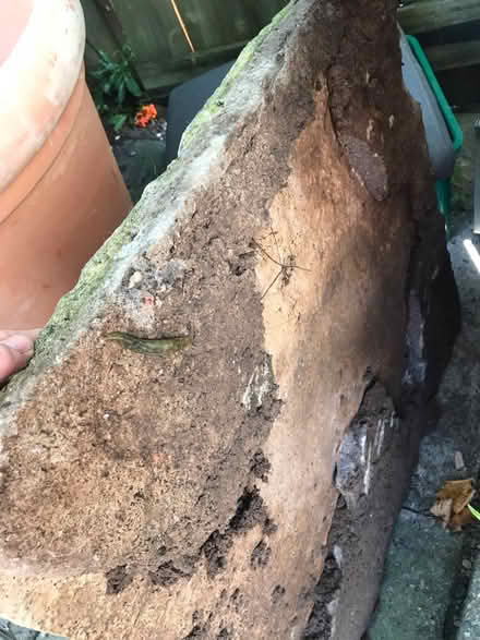 Photo of free Formed concrete slabs (Northfield B31) #4