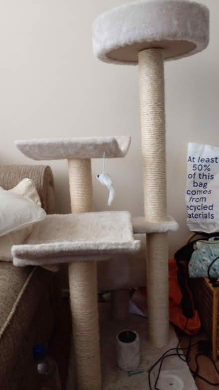 Photo of free Tall cat scratching post (ALW4AW) #1