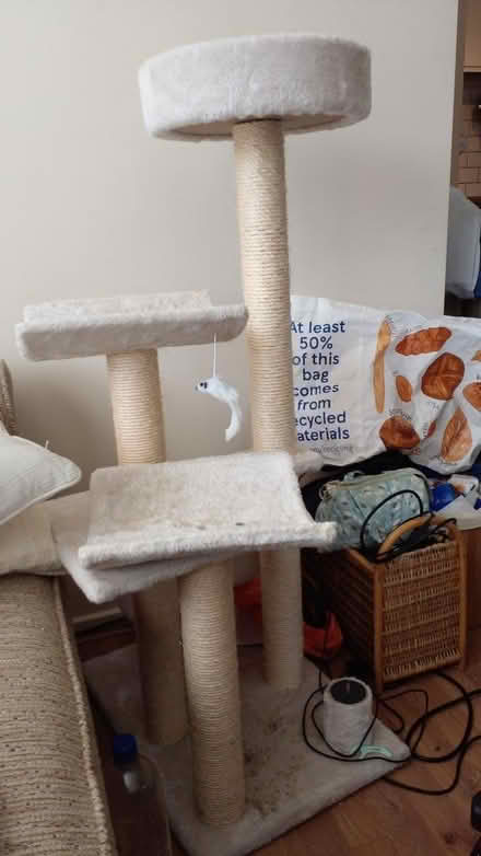 Photo of free Tall cat scratching post (ALW4AW) #2
