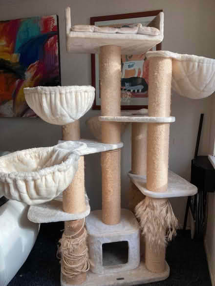 Photo of free Cat tree (Queens Park BH8) #1