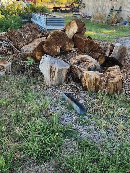 Photo of free Firewood (East of Ponder /FM 2449) #1
