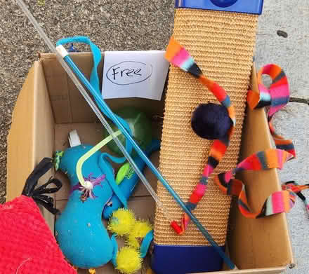 Photo of free used cat supplies (Cambridge, near Western Ave) #2
