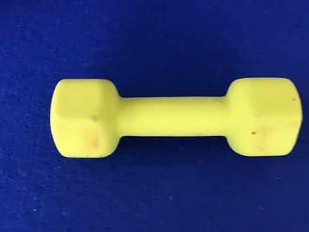 Photo of free 2.5Kg exercise weight (Horsford NR10) #1