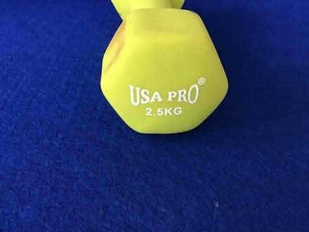 Photo of free 2.5Kg exercise weight (Horsford NR10) #2