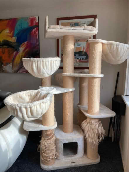 Photo of free Cat tree (Queens Park BH8) #2