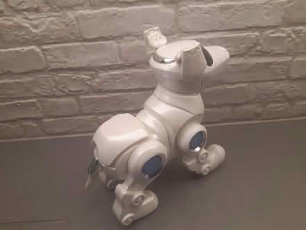 Photo of free Teksta robot dog (W5) #2