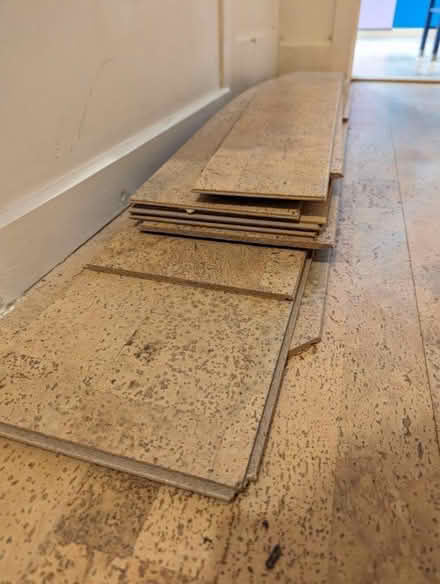Photo of free Cork flooring (BS7) #1