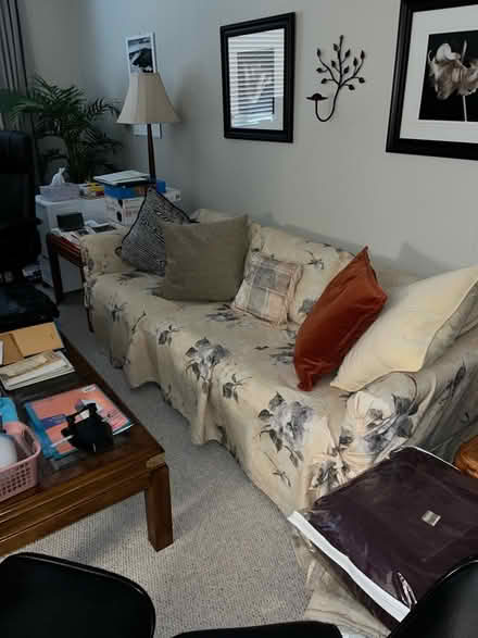 Photo of free Pull out sofa with slip cover (Rockville 20852) #3